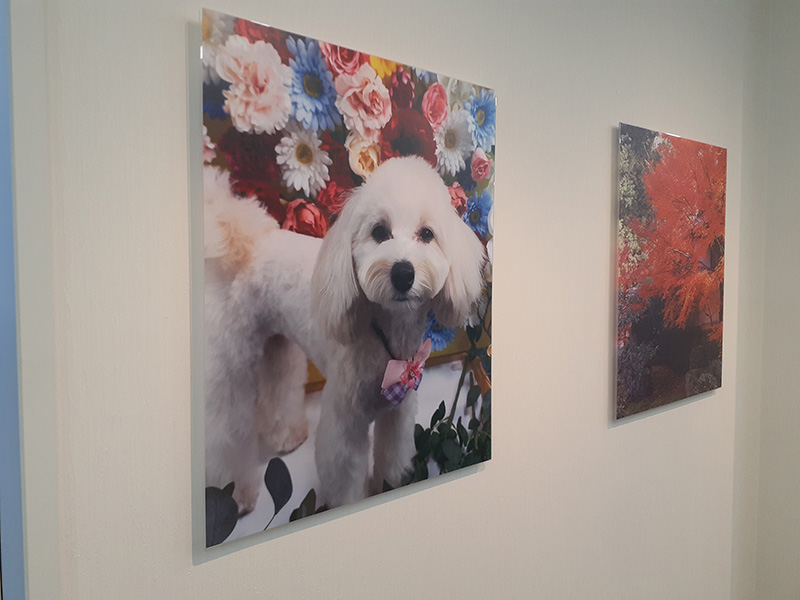 アクリルに写真例2