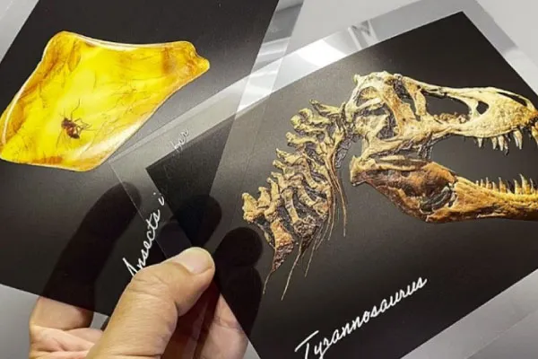 独自のUVランプ分割制御技術で多彩な質感表現を実現!