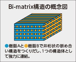 Bi-Matrix構造の概念図