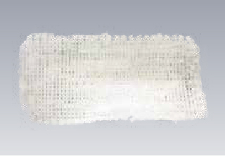 サクラン井桁構造